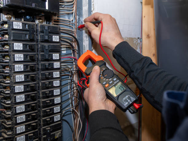 Best Electric Panel Repair  in Vero Beach South, FL